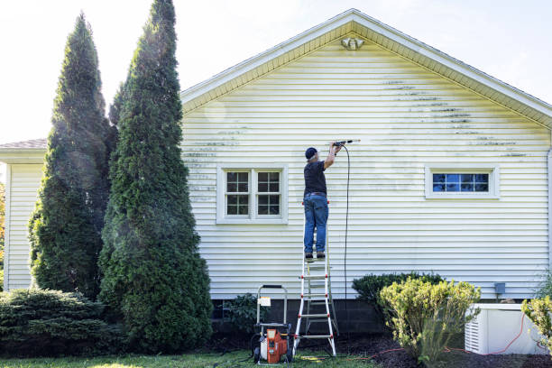 Roof Power Washing Services